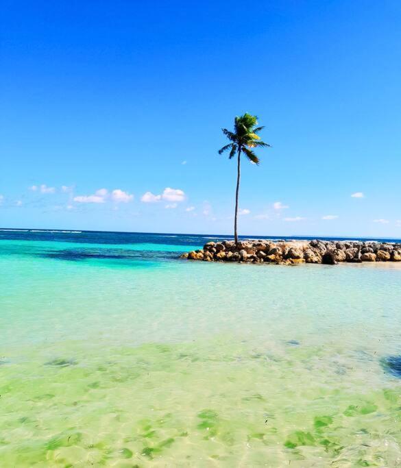 Studio Karaibes Sainte-Anne (Grande-Terre) Exterior foto